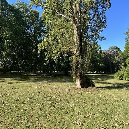 Villa La Petite Trolière Orval  Esterno foto